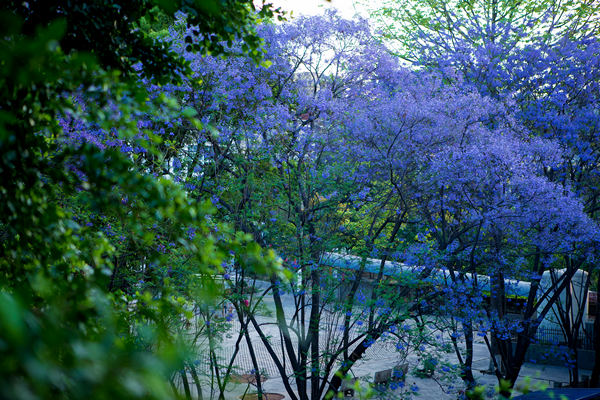 ����� ������Ӱ