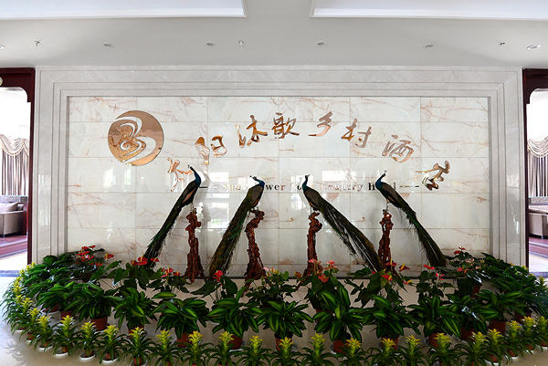 ̫��������Ƶ�