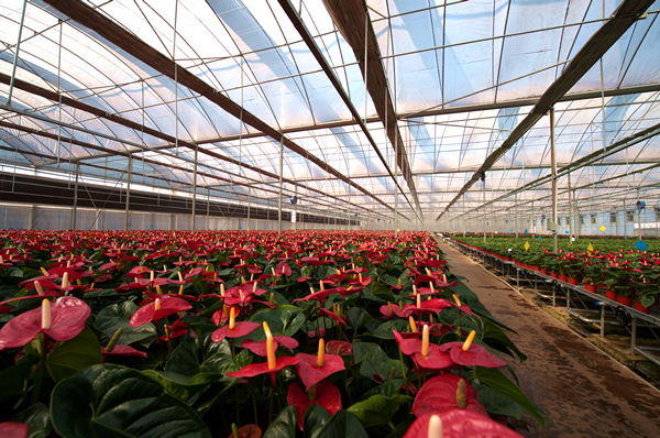 ���ܻ���