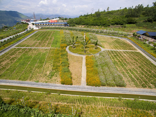 ��Ҵ����۷���԰����