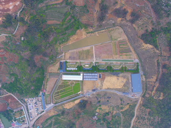 ��Ҵ����۷���԰