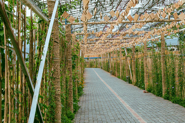 ��Ҵ����۷���԰