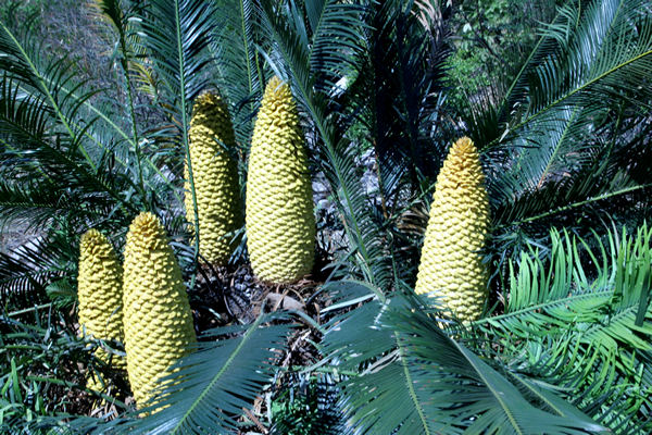 ���µ����� ����˴��Ӱ